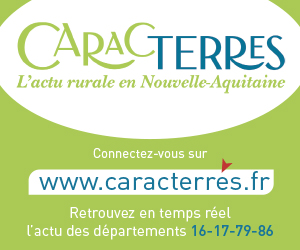 1a370afd5440cd906145bf166d7ecda52273ac3a.jpg